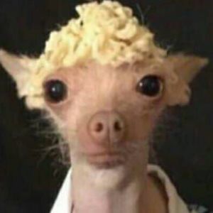 Meet your Posher, Erik